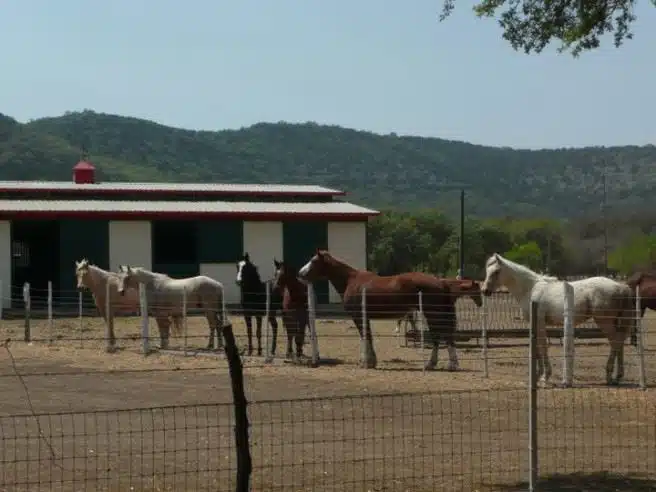 Frio River rentals riverfront